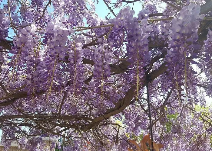 Gregbnb - Climatise - Terrasse & Parking Prive Διαμέρισμα